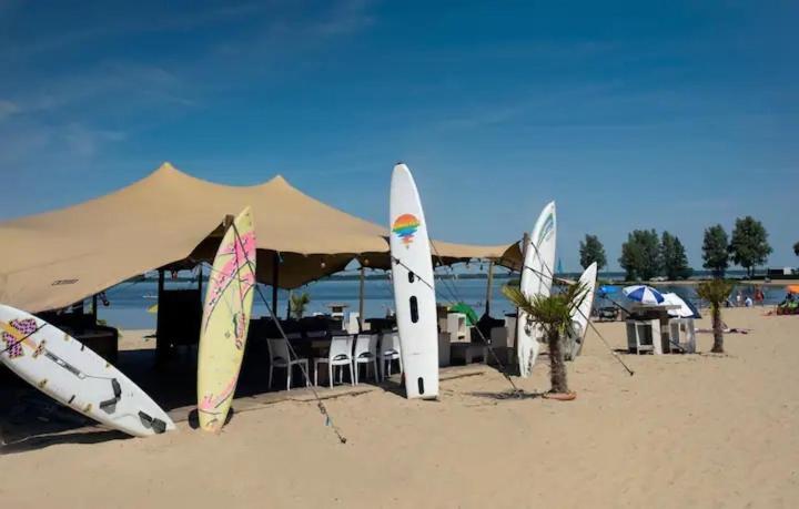Traum Ferienhaus Mit Dachterrasse Am Veluwemeer Hulshorst Kültér fotó